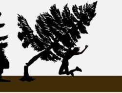 Seorang Petani Tewas Tertimpa Pohon