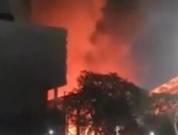 Museum Nasional Kebakaran, Apa Saja di Dalam Museum Itu?