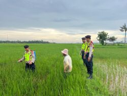 Tim Patroli Perintis Presisi Sat Samapta Polres Langsa Bantu dan Respon Keluhan Petani