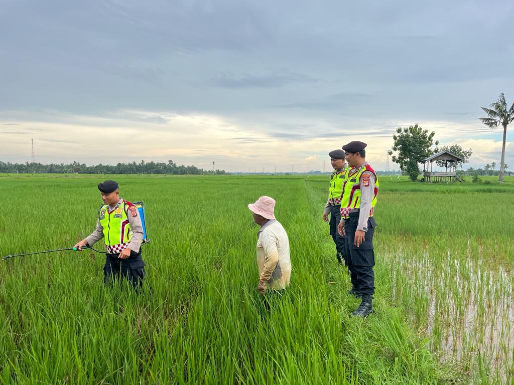 Tim Patroli Perintis Presisi Sat Samapta Polres Langsa Bantu dan Respon Keluhan Petani 1 polres langsa