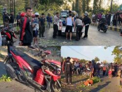 Seorang Gadis di Madiun Tewas Tertimpa Pohon Tumbang