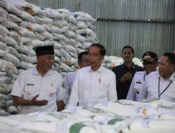 Presiden Jokowi dan Gubernur Sumbar Pastikan Stabilitas Pasokan Beras di Tengah El Nino