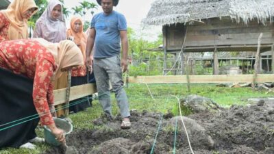 dwp aceh