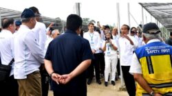 Presiden Jokowi dan Pemimpin Perusahaan Tinjau Persemaian Menuju IKN 7 presiden