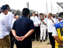 Presiden Jokowi dan Pemimpin Perusahaan Tinjau Persemaian Menuju IKN