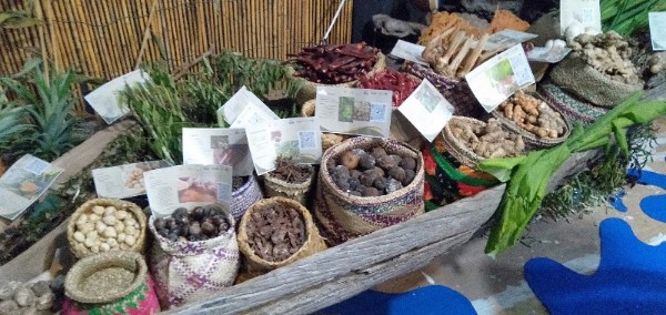 Aceh Tengah