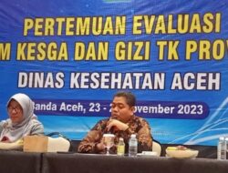 Dinkes Aceh: Zat Besi Berperan Penting Cegah Stunting