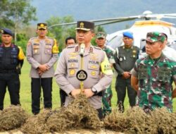 Operasi Pemberantasan Ladang Ganja Terluas di Pulau Sumatera Utara, Operasi Dipimpin Kapolda Sumut