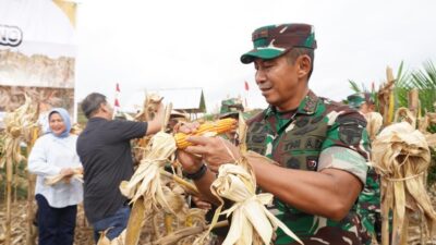 Jagung