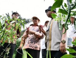 Tinjau Kebun Warga Program BI, Ini Kata Pj Walikota