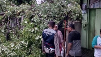 Bersihkan Pohon Tumbang di Badan Jalan, Personel Polres Pijay Respon Cepat 2 Pijay