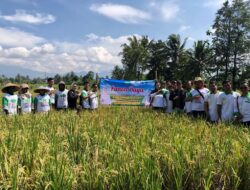 DPP HKTI Selidiki Kelangkaan Pupuk Subsidi di Cikadu Lebak