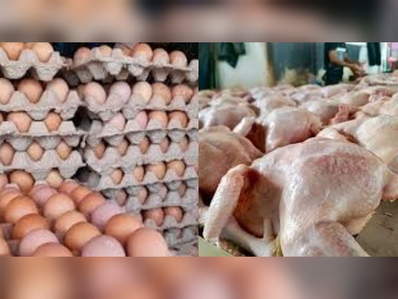 WhatsApp Image 2023 12 03 at 16.11.12