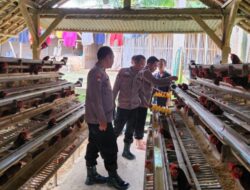 Sat Binmas Polres Pringsewu Sambang ke Peternakan Ayam Petelur dan Mebel