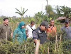 Pj Bupati Aceh Besar Bersama Pj Ketua TP PKK Dampingi Kepala Dinas Pertanian
