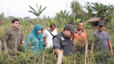 PJ Bupati Aceh Besar