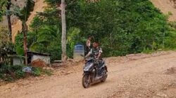 IMG 20240201 WA0004 1