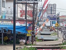 Warga, Tolong Tertibkan Toko Buah Dekat Bahu Jalan Depan Pendopo Pringsewu