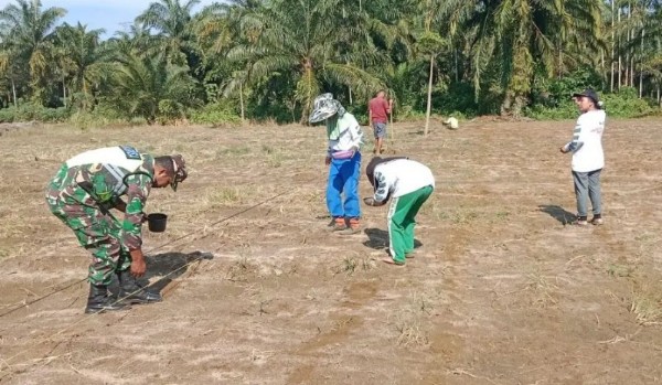 Babinsa Koramil 01/Simpang Kiri Bantu Petani Tanam Jagung, Ini Harapannya 1 Babinsa