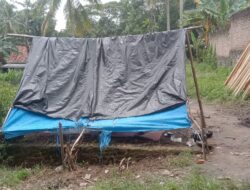 Aparatur Pekon dan Masyarakat Nusawungu Dirikan Rumah Seorang Penyandang Disabilitas 2 IMG 20240317 WA0213