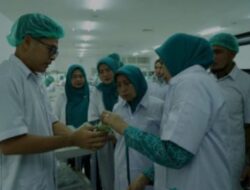 Pj Ketua TP PKK Provsu Bersama Ketua TP PKK Asahan Kunjungi PT Hijau Surya Biotechindo