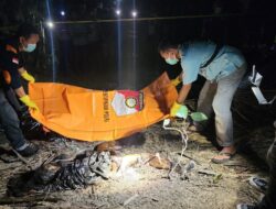 Mayat Wanita Ditemukan Membusuk di Perkebunan Aceh Tamiang
