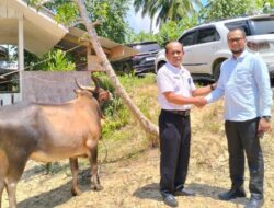 PT. Penerbit Erlangga Sumbangkan Hewan Kurban ke Dinas Pendidikan Aceh Timur