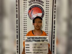 Miliki 290 Gram Ganja, Pria ini Diamankan Polres Pematang Siantar