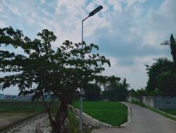 CV Anugrah Sentosa Jaya tidak Tahu Jumlah Pesanan di Pekon