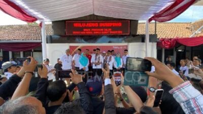 Garut