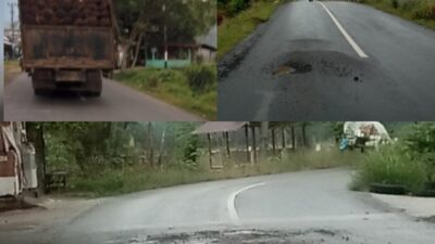 Truk Sawit Bermuatan lebih 8 ton dan kondisi jalan Kutamakmur Aceh Utara, Jumat (30/8/2024). (Foto: Kolase hariandaerah.com/Nurmansyah).