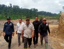 Wow! Raja Marga Sudah Garap 1200 Hektar Hutan Simeulue Tanpa Izin Apapun