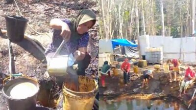 IMG 20240911 200318 1