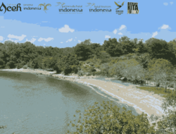 Teluk Lhok Mamuni: Pantai Eksotik Tersembunyi yang Menjadi Primadona Wisata di Pidie