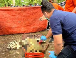 Tega! Suami Bakar Istri di Aceh Tamiang, Pelaku Serahkan Diri ke Polisi