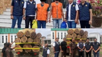 Polisi Serahkan Dua Tersangka dan Barang Bukti Kasus Illegal Logging ke Kejaksaan 3 Aceh