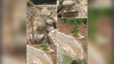 WhatsApp Image 2024 12 21 at 13.20.55