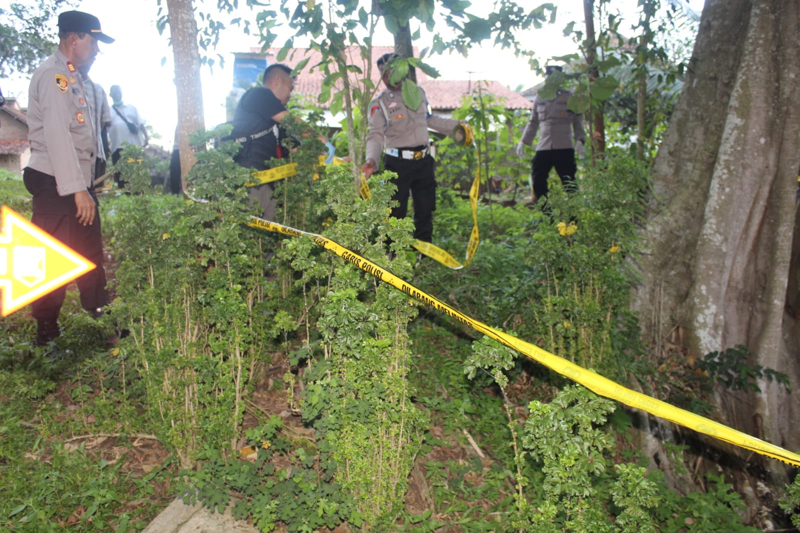 Gambar WhatsApp 2025 01 08 pukul 21.32.54 90b85391