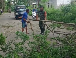 Antisipasi Hujan Angin, Warga Tebangi Pohon Rimbun di Jalan Sukadiri-Pekayon