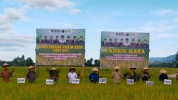 Abdya Targetkan Produksi Padi Tiga Kali Tanam Dalam Setahun 8 IMG 20250121 114657
