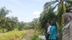 Pasaman Barat Targetkan Produksi Ikan 107.528 Ton pada 2025 4 WhatsApp Image 2025 01 09 at 13.38.40 11zon