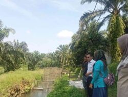 Pasaman Barat Targetkan Produksi Ikan 107.528 Ton pada 2025