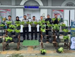 Panen Sayur Dukung Ketahanan Pangan di Rutan Batusangkar