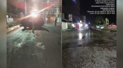 WhatsApp Image 2025 01 28 at 19.01.12