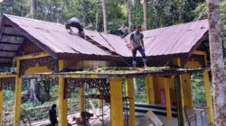 11zon cropped 23 11zon