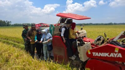 Bulog Jemput Gabah Petani dengan Harga Tinggi 2 IMG 20250227 WA0027