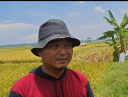 Petani Banten Bahagia dan Ucapkan Terimakasih Presiden Prabowo