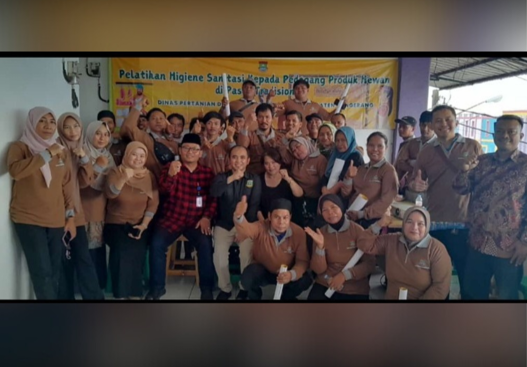 IMG 20250228 185404