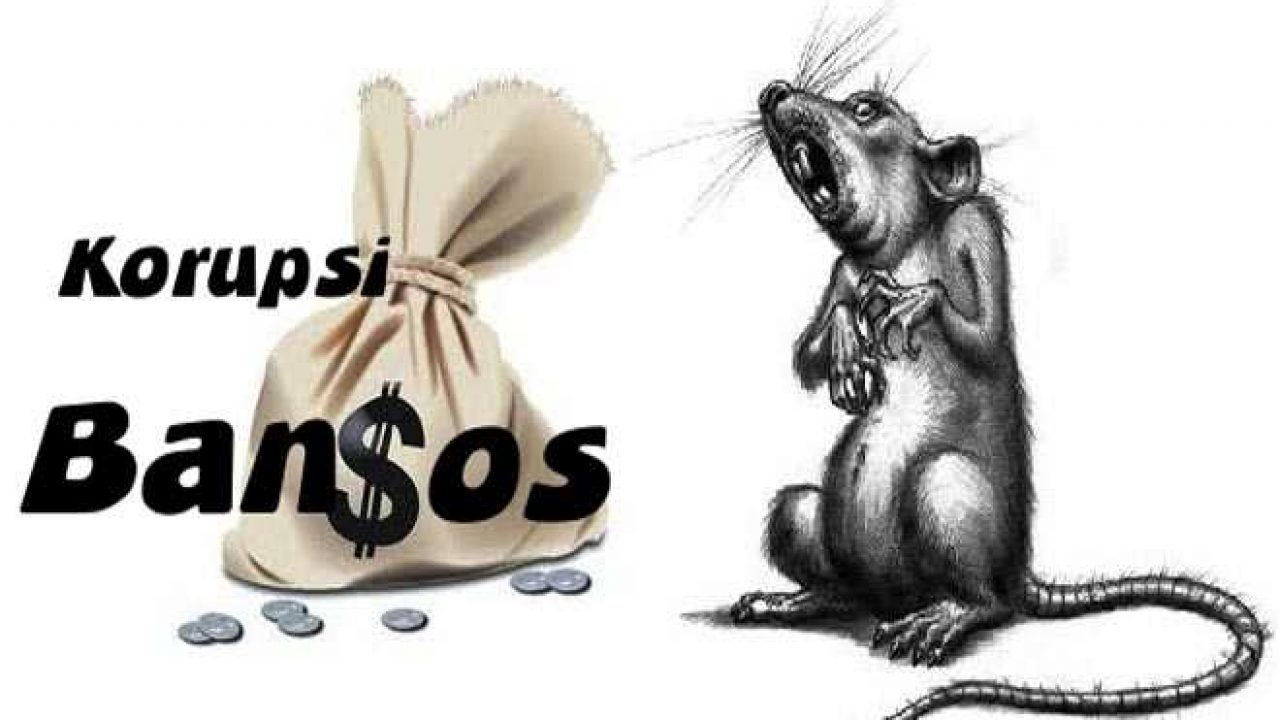 WhatsApp Image 2025 01 31 at 12.53.53