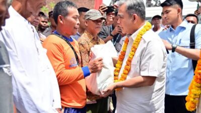 WhatsApp Image 2025 02 09 at 16.50.00